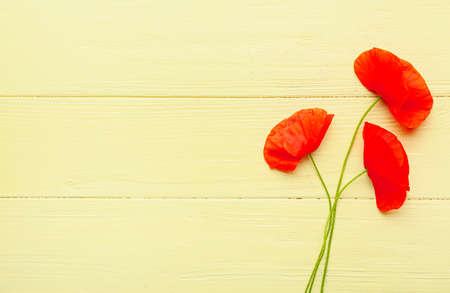 Beautiful red poppy flowers on color wooden backgroundの写真素材