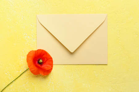Beautiful red poppy flower with envelope on color background