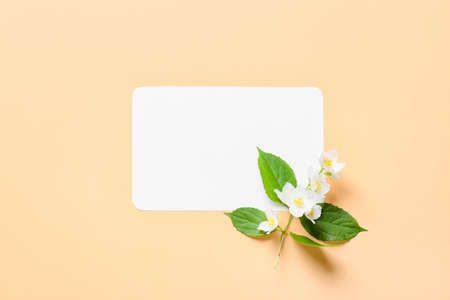 Blank sheet of paper and beautiful jasmine flowers on color backgroundの写真素材
