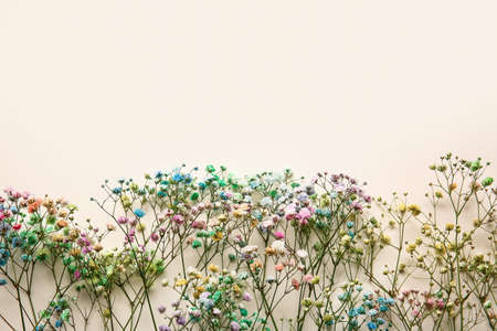 Beautiful colorful gypsophila flowers on color background, closeup