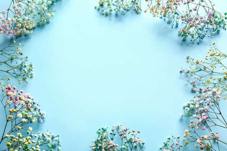 Frame made of colorful gypsophila flowers on color background