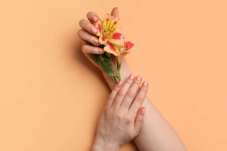 Hands with beautiful manicure and flowers on color backgroundの写真素材