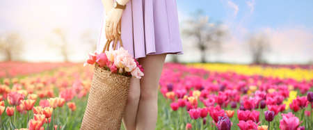 Beautiful young woman with bouquet of flowers in tulip field on spring dayの写真素材
