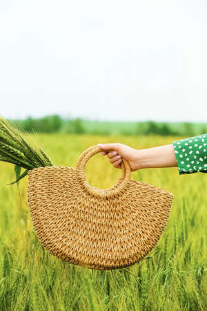 Woman with wicker bag and wheat spikelets in fieldの写真素材