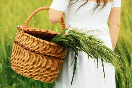 Woman holding wicker basket with green spikelets in fieldの写真素材