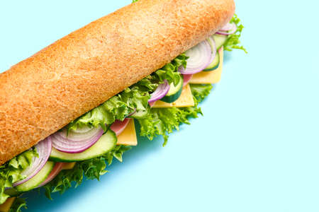 Tasty sandwich on color background, closeup