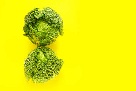 Fresh savoy cabbage on color backgroundの写真素材