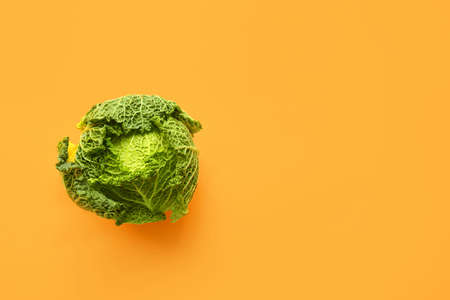 Fresh savoy cabbage on color backgroundの写真素材