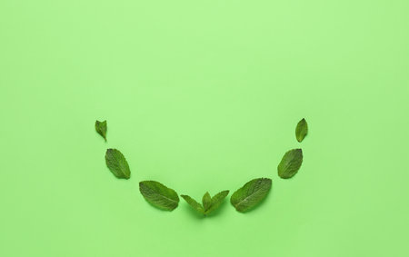 Organic mint leaves on color background