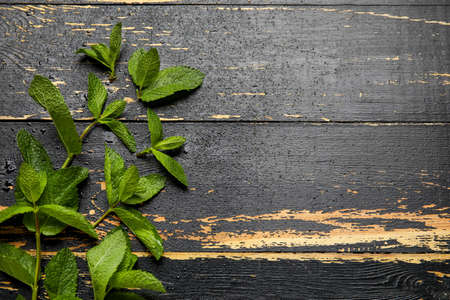 Organic mint leaves on dark wooden background