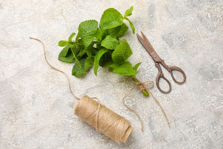 Bunch of mint, rope and scissors on grunge backgroundの写真素材