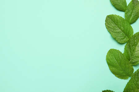 Organic mint leaves on color backgroundの写真素材