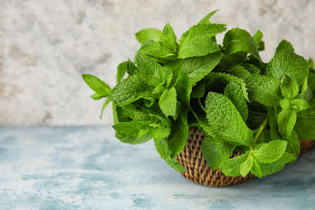 Wicker basket with mint on tableの写真素材