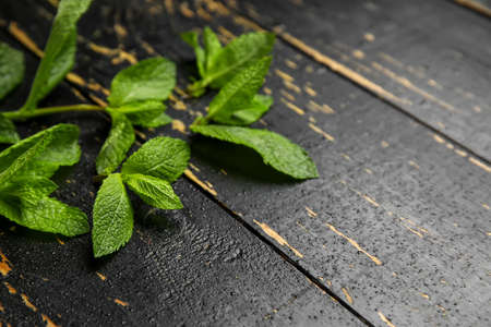 Organic mint leaves on dark wooden background