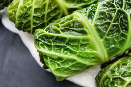 Stuffed cabbage leaves and sour cream on dark background, closeupの写真素材