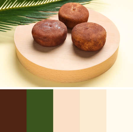 Board with tasty Japanese mochi on light background. Different color samples