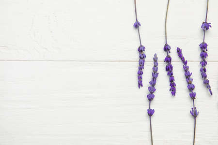 Beautiful lavender flowers on light wooden backgroundの写真素材