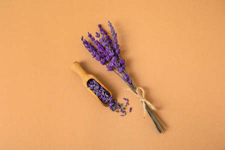 Beautiful lavender flowers and scoop on color background