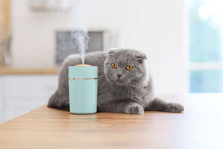 Cute cat in room with modern humidifierの写真素材