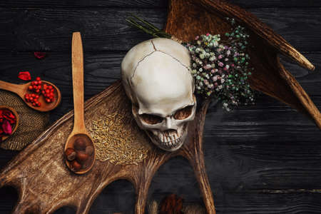 Ingredients for witch's ritual on wooden tableの写真素材
