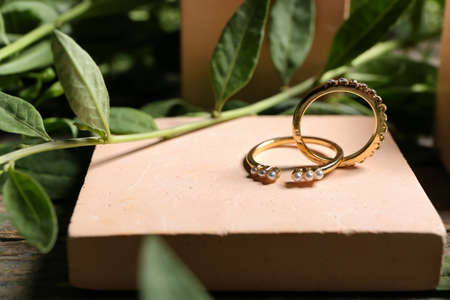 Beautiful golden rings and plant branches on tableの写真素材