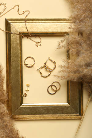 Stylish golden jewelry, frame and pampas grass on color background
