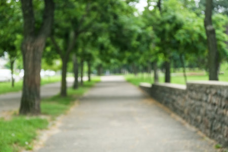 Blurred view of green park on summer day