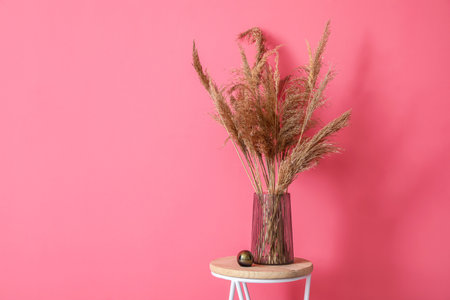 Vase with dry reeds on table near color wallの写真素材