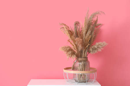Vase with dry reeds on table near color wallの写真素材