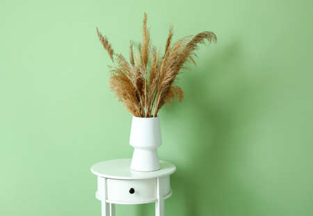 Vase with dry reeds on table near color wallの写真素材