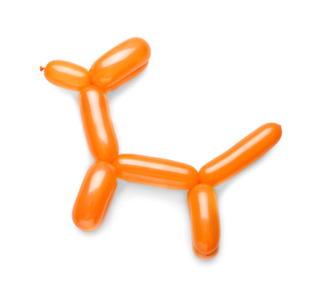 Dog made of balloon on white backgroundの写真素材