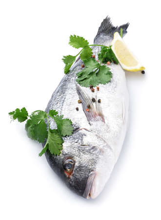 Raw dorado fish on white background
