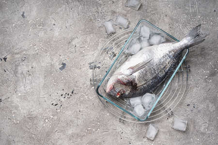 Bowl with raw dorado fish and ice cubes on gray backgroundの写真素材