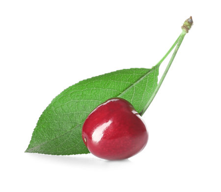 Tasty ripe cherry on white backgroundの写真素材