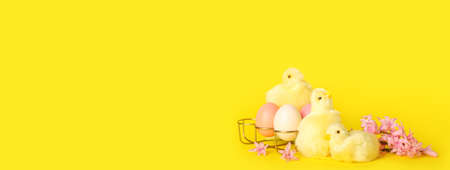 Cute chickens, spring flowers and Easter eggs on yellow background with space for text