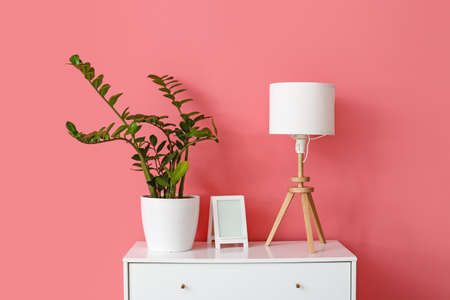 White lamp with frame and houseplant on chest of drawers near pink wallの写真素材