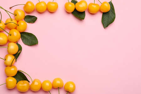 Tasty sweet cherry on color background