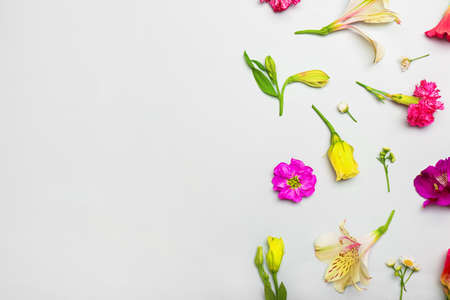 Different flowers on white background, close up