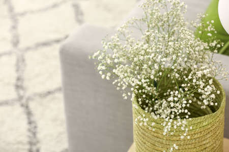 Basket with gypsophila flowers on table near sofa in living room, closeupの写真素材