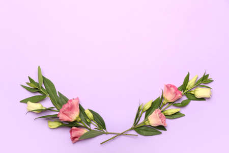 Composition with beautiful eustoma flowers and leaves on color backgroundの写真素材
