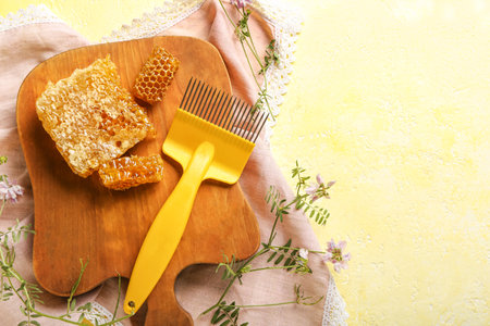 Bee hive uncapping comb and honey on color background
