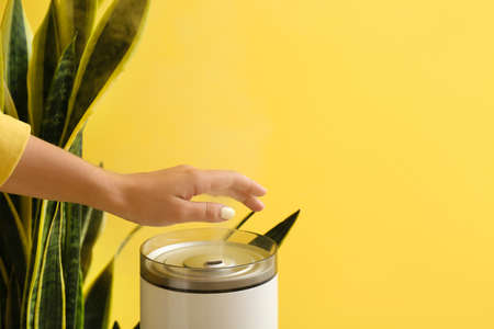 Woman with modern air humidifier in roomの写真素材