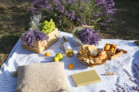 Tasty food and drink for romantic picnic in lavender field