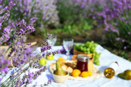 Tasty food and drink for romantic picnic in the field, focus on lavender flowersの写真素材
