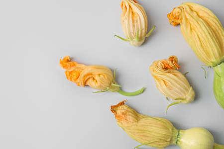 Flowers of zucchini on light background, closeupの写真素材