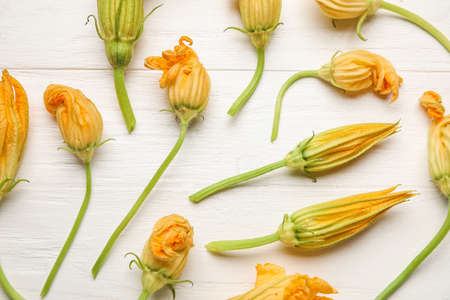 Flowers of zucchini on light wooden backgroundの写真素材