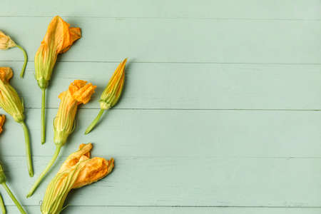 Flowers of zucchini on color wooden backgroundの写真素材