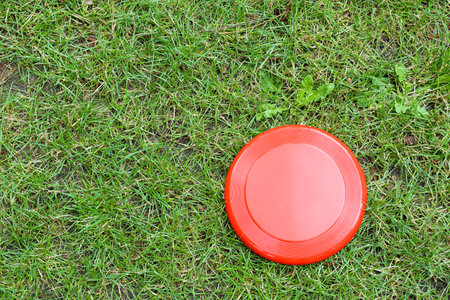 Flying disk on grass outdoorsの写真素材