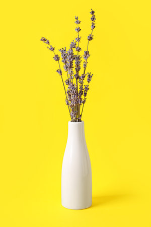 Vase with beautiful lavender flowers on color backgroundの写真素材