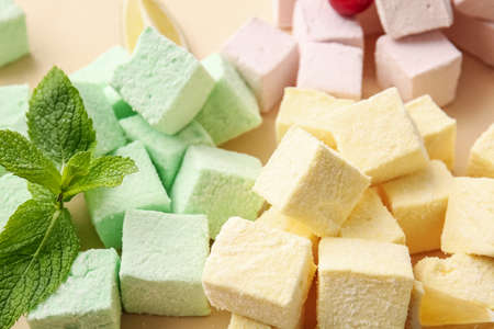 Tasty sweet marshmallows and mint on color background